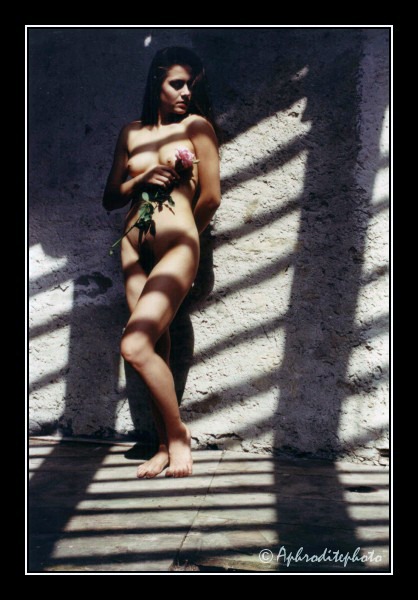 117 Chaleur mexicaine